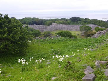 今帰仁城跡に投稿された画像（2024/4/30）