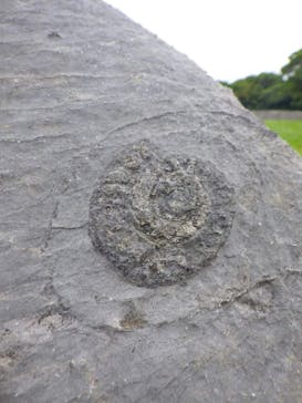 今帰仁城跡に投稿された画像（2024/4/30）