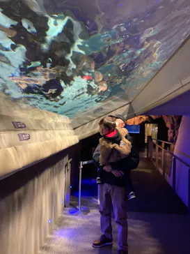 すみだ水族館に投稿された画像（2024/3/2）