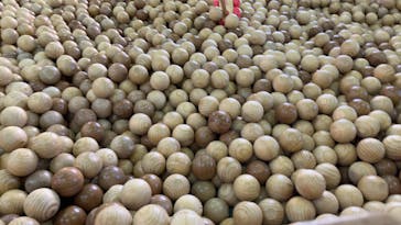 軽井沢おもちゃ王国に投稿された画像（2024/4/30）