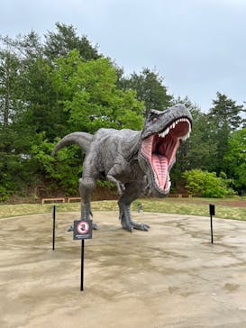 福井県立恐竜博物館に投稿された画像（2024/4/30）