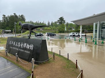 福井県立恐竜博物館に投稿された画像（2024/4/30）