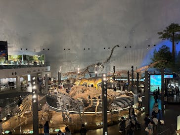 福井県立恐竜博物館に投稿された画像（2024/4/30）