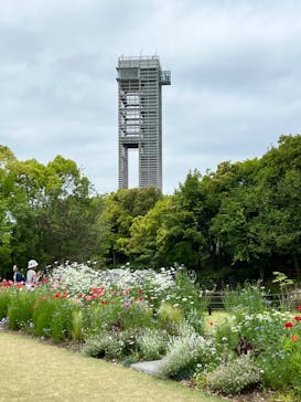 浜名湖花博2024に投稿された画像（2024/4/30）