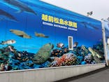 越前松島水族館に投稿された画像（2024/4/30）