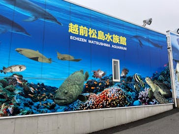 越前松島水族館に投稿された画像（2024/4/30）