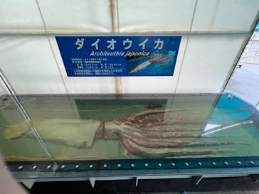 越前松島水族館に投稿された画像（2024/4/30）