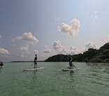 石垣島 ADVENTURE PiPi（イシガキジマアドベンチャーピピ）に投稿された画像（2024/4/30）