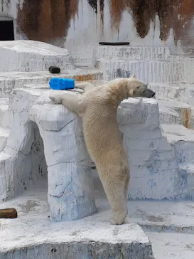 天王寺動物園に投稿された画像（2024/4/30）
