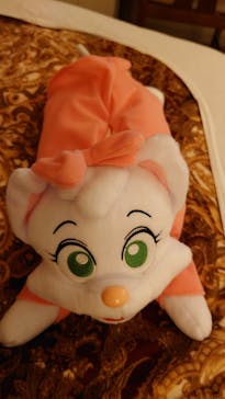 志摩スペイン村パルケエスパーニャに投稿された画像（2024/4/30）