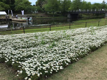 浜名湖花博2024に投稿された画像（2024/4/30）