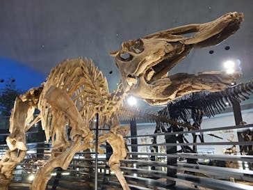 福井県立恐竜博物館に投稿された画像（2024/4/30）