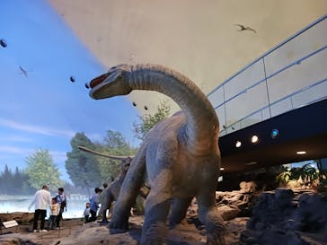 福井県立恐竜博物館に投稿された画像（2024/4/30）