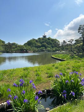 三溪園に投稿された画像（2024/4/30）