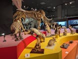 特別展「大哺乳類展３－わけてつなげて大行進」に投稿された画像（2024/4/30）