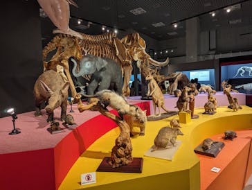 特別展「大哺乳類展３－わけてつなげて大行進」に投稿された画像（2024/4/30）