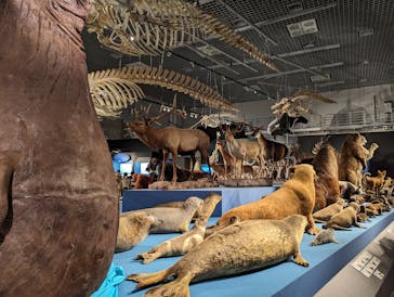 特別展「大哺乳類展３－わけてつなげて大行進」に投稿された画像（2024/4/30）