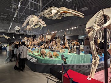 特別展「大哺乳類展３－わけてつなげて大行進」に投稿された画像（2024/4/30）