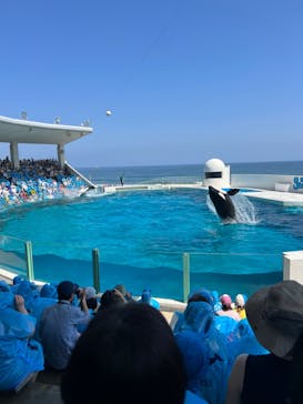 鴨川シーワールドに投稿された画像（2024/4/30）