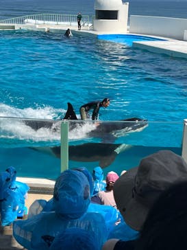 鴨川シーワールドに投稿された画像（2024/4/30）