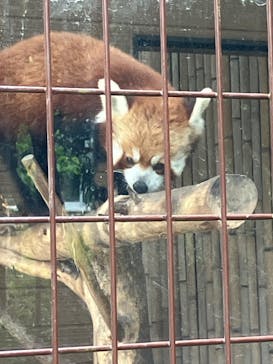 熱川バナナワニ園に投稿された画像（2024/4/30）