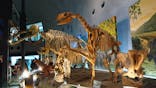 福井県立恐竜博物館に投稿された画像（2024/4/30）