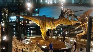 福井県立恐竜博物館に投稿された画像（2024/4/30）