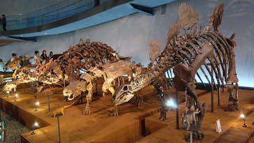 福井県立恐竜博物館に投稿された画像（2024/4/30）