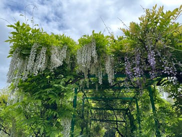 浜名湖花博2024に投稿された画像（2024/4/30）