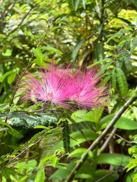 浜名湖花博2024に投稿された画像（2024/4/30）
