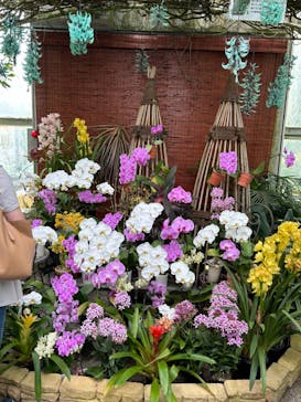 浜名湖花博2024に投稿された画像（2024/4/30）