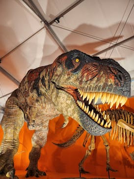 オダイバ恐竜博覧会2024 -福井から“ヤツラ”が新幹線でやってくる！-に投稿された画像（2024/4/30）