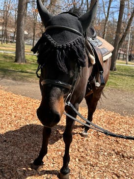 ノーザンホースパークに投稿された画像（2024/4/30）