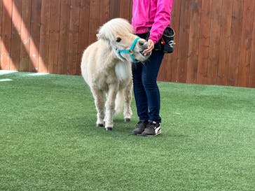 ノーザンホースパークに投稿された画像（2024/4/30）