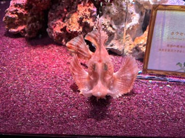 マクセル アクアパーク品川に投稿された画像（2024/4/30）