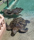 すみだ水族館に投稿された画像（2024/4/30）