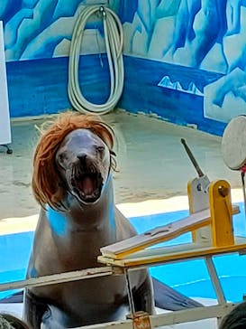 東北サファリパークに投稿された画像（2024/4/30）