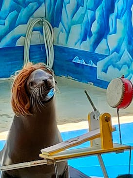 東北サファリパークに投稿された画像（2024/4/30）