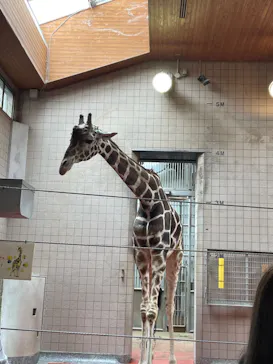 天王寺動物園に投稿された画像（2024/4/30）