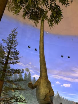 福井県立恐竜博物館に投稿された画像（2024/4/30）