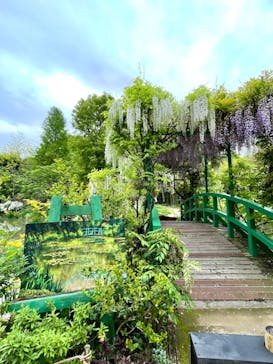 浜名湖花博2024に投稿された画像（2024/4/30）