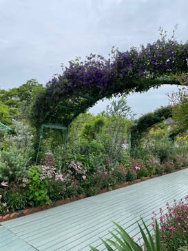 浜名湖花博2024に投稿された画像（2024/4/30）