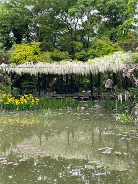 浜名湖花博2024に投稿された画像（2024/4/30）