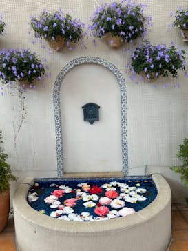 浜名湖花博2024に投稿された画像（2024/4/30）