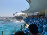 鴨川シーワールドに投稿された画像（2024/4/30）