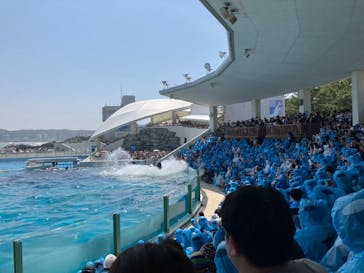 鴨川シーワールドに投稿された画像（2024/4/30）