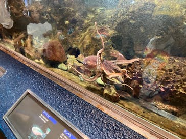 鴨川シーワールドに投稿された画像（2024/4/30）