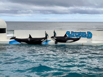 鴨川シーワールドに投稿された画像（2024/4/30）