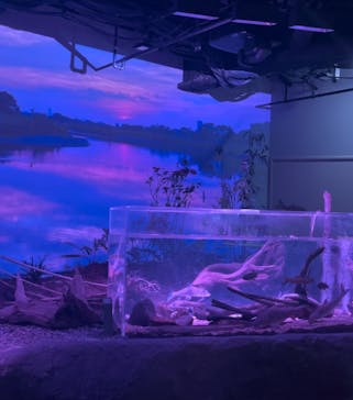 カワスイ 川崎⽔族館に投稿された画像（2024/4/30）