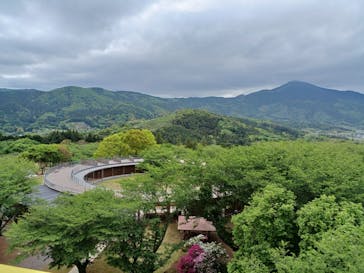 いばらきフラワーパークに投稿された画像（2024/4/30）